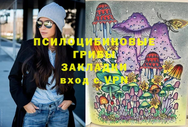 бошки Аркадак