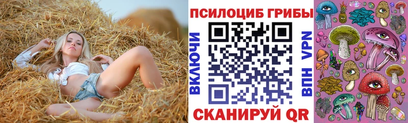 Псилоцибиновые грибы Cubensis  Сергач 
